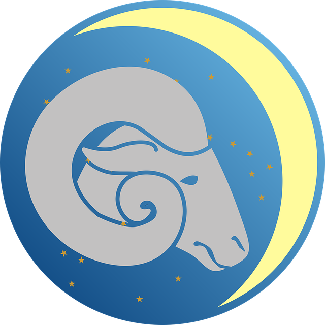 ram-2296942_640.png ram-2296942_640.png