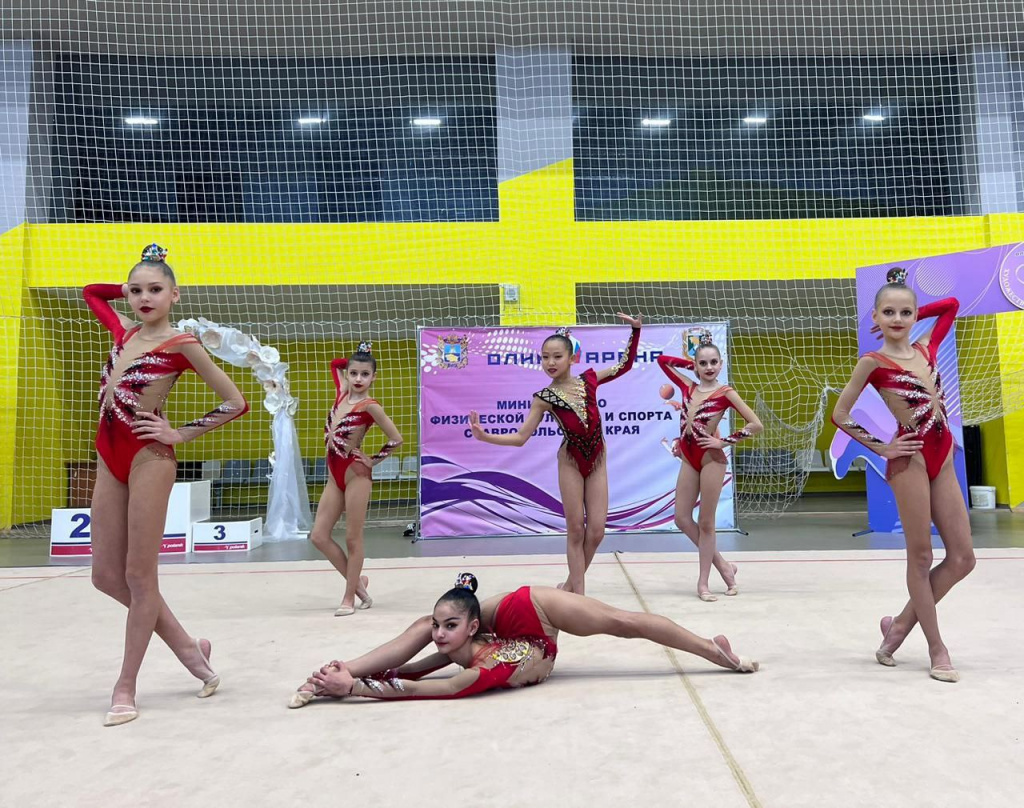 Фото: Федерация художественной гимнастики СК