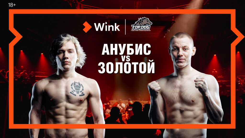 Wink_TOP_DOG_16апреля.jpg