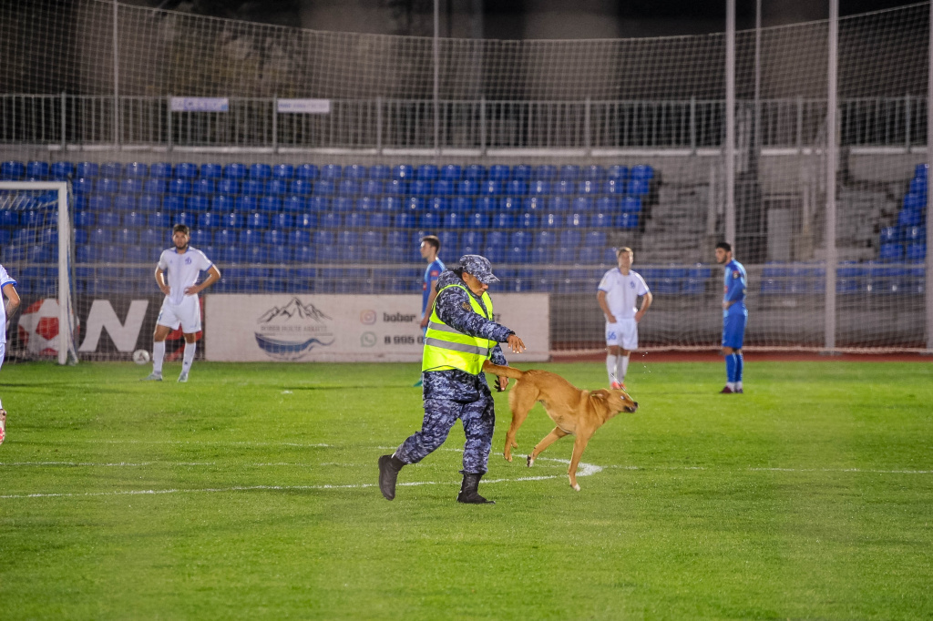 Фото: ФК «Динамо» (Ставрополь)